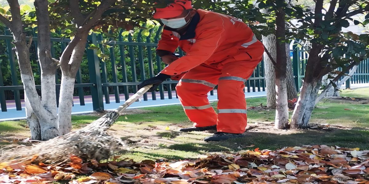 綠化帶清掃服務
